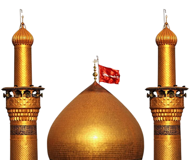 Noha Studio Feedback